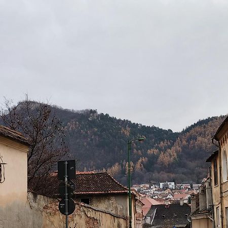 Golden Greens Studio - Mountain Scenery Braşov Eksteriør billede