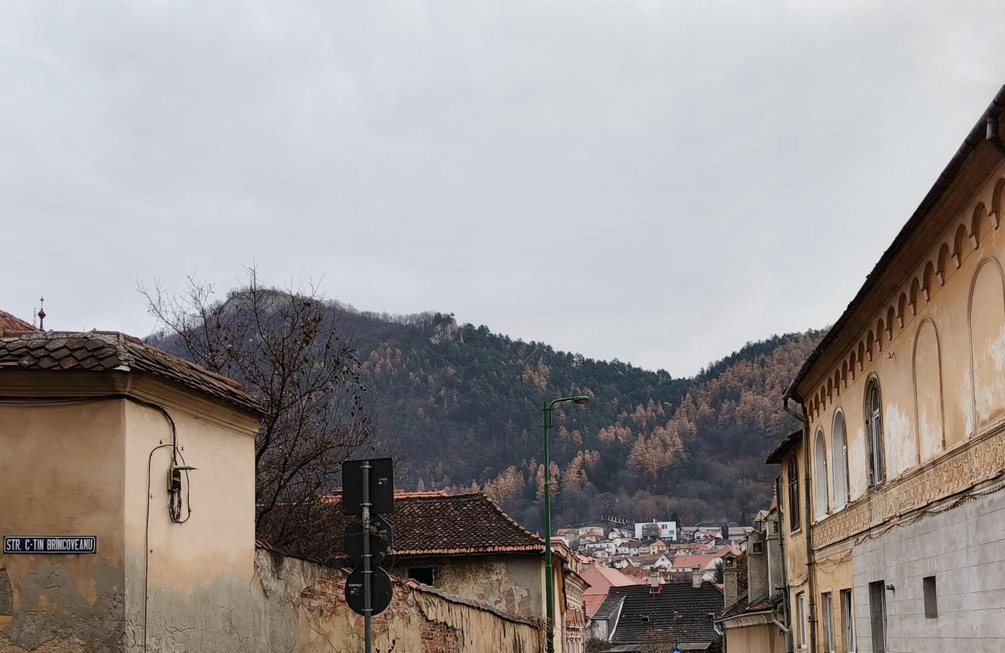 Golden Greens Studio - Mountain Scenery Braşov Eksteriør billede